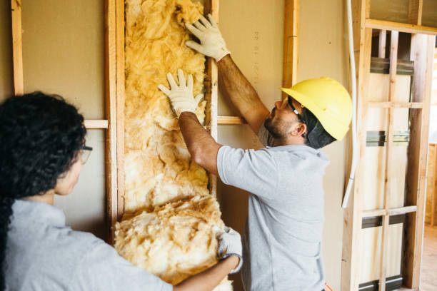 Professional Insulation in Onsted, MI